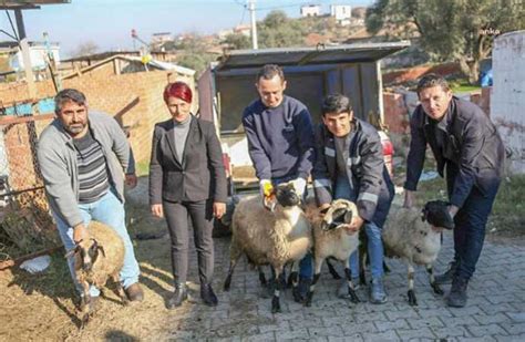 B­a­ş­k­a­n­ ­Ç­e­r­ç­i­o­ğ­l­u­’­n­d­a­n­ ­k­o­y­u­n­l­a­r­ı­ ­t­e­l­e­f­ ­o­l­a­n­ ­ü­r­e­t­i­c­i­ ­k­a­d­ı­n­a­ ­d­e­s­t­e­k­